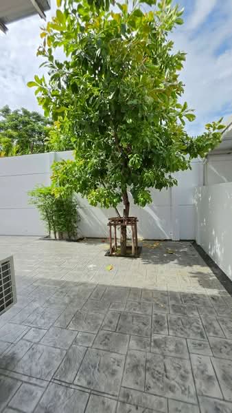 Villaggio 3 Srinakarin-Bangna : วิลลาจจิโอ 3 ศรีนครินทร์-บางนา, สมุทรปราการ, บางแก้ว, บางพลี, สมุทรปราการ, 150 ตร.ม., บ้านเดี่ยว ให้เช่า, โดย การุณ ชมภูบุตร, 500437627 - DDproperty.com