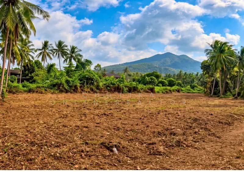 land for sale in Samui, Surat Thani, Taling Ngam, Ko Samui, Surat Thani, , 8,206 sqm, Land For Sale, by chotika onlinerealtor, 500437630 - DDproperty.com