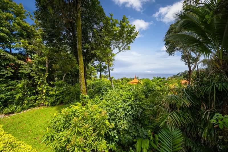 Signature Resort Villa 36, ภูเก็ต, เชิงทะเล, ถลาง, ภูเก็ต, 590 ตร.ม., วิลล่า ขาย, โดย The Luxe Group, 500437632 - DDproperty.com