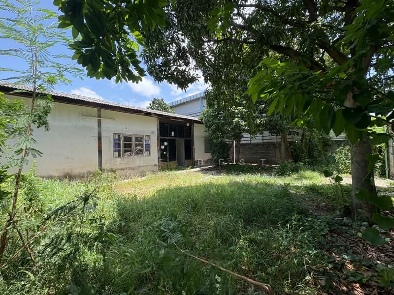 บ้านเดี่ยวพร้อมที่ดินบางเมือง สมุทรปราการ, Samut Prakan, Bang Mueng, Muang Samut Prakarn, Samut Prakan, 2 Bedrooms, 150 sqm, Single Detached House For Sale, by The Best Property ติ๋ว, 500437768 - DDproperty.com