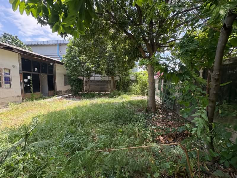 บ้านเดี่ยวพร้อมที่ดินบางเมือง สมุทรปราการ, สมุทรปราการ, บางเมือง, เมืองสมุทรปราการ, สมุทรปราการ, 150 ตร.ม., บ้านเดี่ยว ขาย, โดย The Best Property ติ๋ว, 500437768 - DDproperty.com