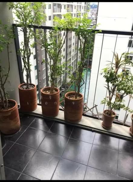 A Space Asoke-Ratchada : เอ สเปซ อโศก-รัชดา, กรุงเทพ, 624 ถนนอโศก - ดินแดง แขวงดินแดง เขตดินแดง กรุงเทพมหานคร, ดินแดง, กรุงเทพ, 38 ตร.ม., คอนโด ให้เช่า, โดย ศิริวรรณ เผือกใจแผ้ว, 500437793 - DDproperty.com