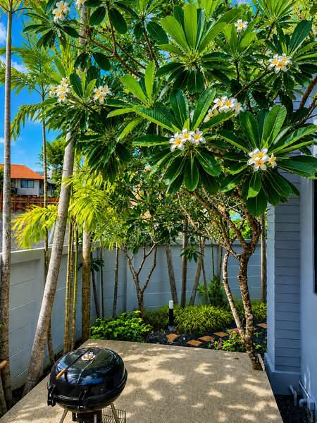 undefined, Phuket, Rawai, Muang Phuket, Phuket, 3 Bedrooms, 380 sqm, Villa For Sale, by Keartisuk Sookkow, 500437796 - DDproperty.com