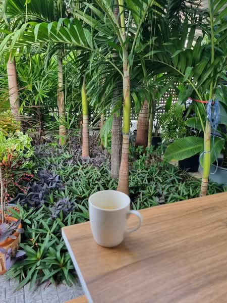 3-BR House, Chon Buri (Pattaya), Bang Lamung, Bang Lamung (Pattaya), Chon Buri (Pattaya), 3 Bedrooms, 204 sqm, Single Detached House For Sale, by Vikrant Kokar, 500437936 - DDproperty.com