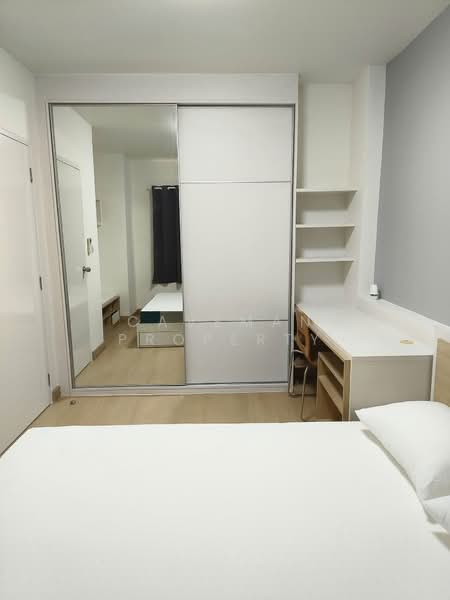 My Condo Sukhumvit 81 : มายคอนโด สุขุมวิท81, กรุงเทพ, ซอยสุขุมวิท 81 ถนนสุขุมวิท, บางจาก, พระโขนง, กรุงเทพ, 35 ตร.ม., คอนโด ให้เช่า, โดย Caveman Property, 500437951 - DDproperty.com