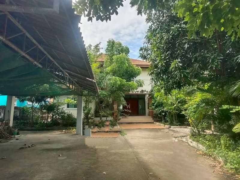 บ้านเดี่ยว 2 ชั้น 126 ตร.ว. ซอยทองสุข32 ซอยสุขสวัสดิ30 แยก10, กรุงเทพ, ถนนสุขสวัสดิ์, บางมด, ทุ่งครุ, กรุงเทพ, 400 ตร.ม., บ้านเดี่ยว ขาย, โดย คุณ อานนท์ บุญกรม (เซฟ), 500437969 - DDproperty.com
