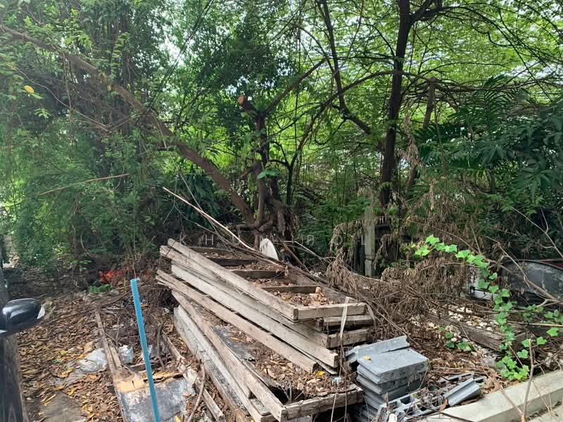 ขายที่ดิน 128 ตร.ว. ซอยสาธุประดิษฐ์ 49 ทำเลพระราม 3, กรุงเทพ, บางโพงพาง, ยานนาวา, กรุงเทพ, 512 ตร.ม., ที่ดิน ขาย, โดย Khun Pol, 500438027 - DDproperty.com