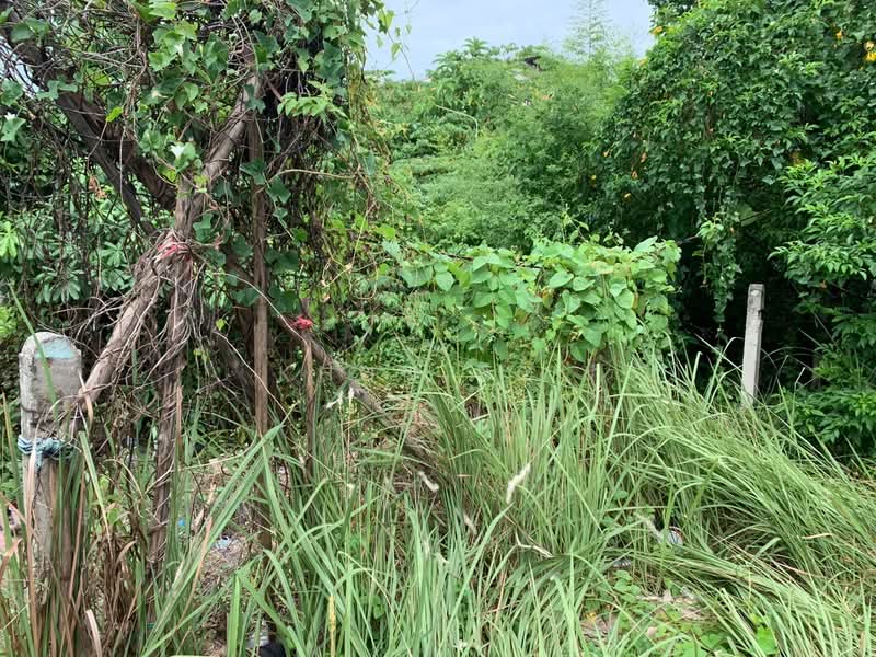 ขายที่ดิน 128 ตร.ว. ซอยสาธุประดิษฐ์ 49 ทำเลพระราม 3, กรุงเทพ, บางโพงพาง, ยานนาวา, กรุงเทพ, 512 ตร.ม., ที่ดิน ขาย, โดย Khun Pol, 500438027 - DDproperty.com