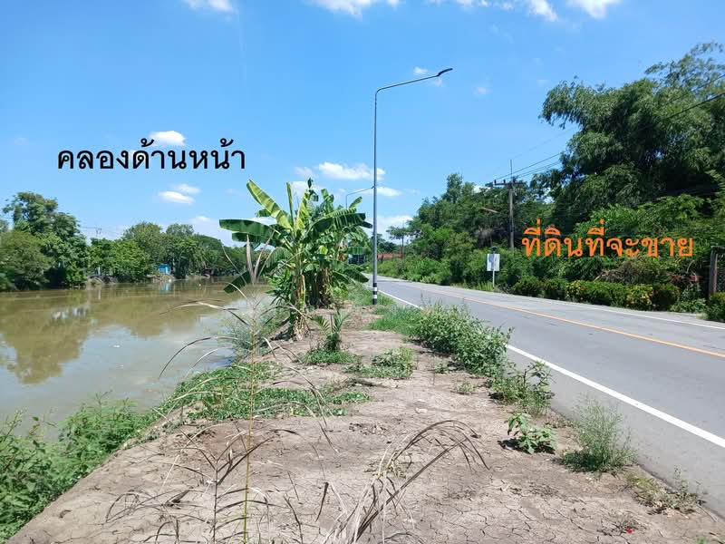 ขายที่ดิน 39 ไร่ 63 ตร.ว. คลอง 12 หนองเสือ ปทุมธานี พื้นที่สีชมพู ติดถนน 4 ด้าน เหมาะลงทุน, Pathum Thani, Nong Sam Wang, Nong Sua, Pathum Thani, , 62,652 sqm, Land For Sale, by คุณพั้งค์, 500438043 - DDproperty.com