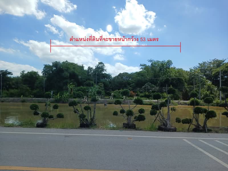 ขายที่ดิน 39 ไร่ 63 ตร.ว. คลอง 12 หนองเสือ ปทุมธานี พื้นที่สีชมพู ติดถนน 4 ด้าน เหมาะลงทุน, ปทุมธานี, หนองสามวัง, หนองเสือ, ปทุมธานี, 62,652 ตร.ม., ที่ดิน ขาย, โดย คุณพั้งค์, 500438043 - DDproperty.com
