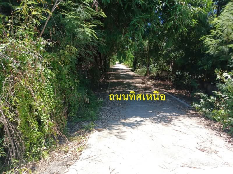 ขายที่ดิน 39 ไร่ 63 ตร.ว. คลอง 12 หนองเสือ ปทุมธานี พื้นที่สีชมพู ติดถนน 4 ด้าน เหมาะลงทุน, Pathum Thani, Nong Sam Wang, Nong Sua, Pathum Thani, , 62,652 sqm, Land For Sale, by คุณพั้งค์, 500438043 - DDproperty.com