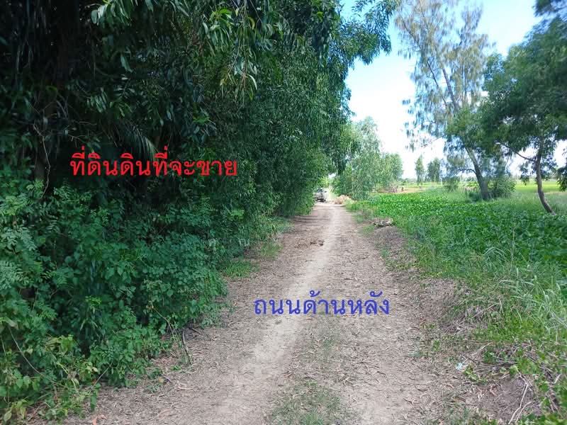 ขายที่ดิน 39 ไร่ 63 ตร.ว. คลอง 12 หนองเสือ ปทุมธานี พื้นที่สีชมพู ติดถนน 4 ด้าน เหมาะลงทุน, ปทุมธานี, หนองสามวัง, หนองเสือ, ปทุมธานี, 62,652 ตร.ม., ที่ดิน ขาย, โดย คุณพั้งค์, 500438043 - DDproperty.com
