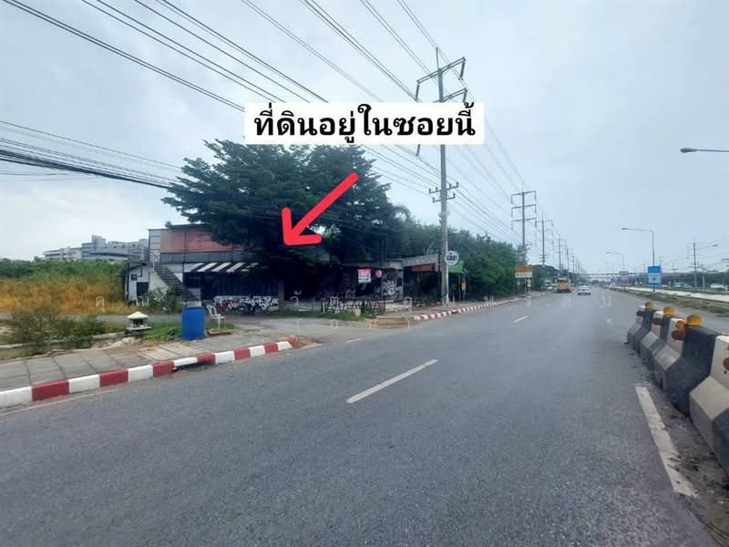 ที่ดินเปล่า 197 ตร.ว. ที่ดิน ใกล้มหาวิทยาลัยเทคโนโลยีราชมงคลรัตนโกสินทร์ ถนนพุทธมณฑลสาย5, นครปฐม, ถนนพุทธมณฑลสาย5, บางเตย, สามพราน, นครปฐม, 788 ตร.ม., ที่ดิน ขาย, โดย คุณ ภควัต อุณหรัตน์ (อ้น), 500438085 - DDproperty.com
