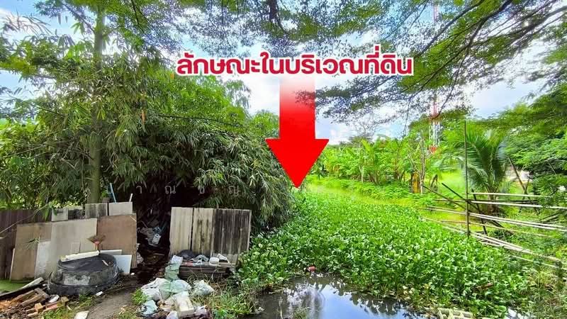 ขายที่ดิน 7-2-08 ไร่ ซอยหนามแดง-บางพลี 13 ติดกับโรงเรียนบางแก้วประชาสรรค์, Samut Prakan, หนามแดง-บางพลี 13, Bang Kaeo, Bang Plee, Samut Prakan, , 12,032 sqm, Land For Sale, by ปาณชญา ศรีนวล, 500438172 - DDproperty.com