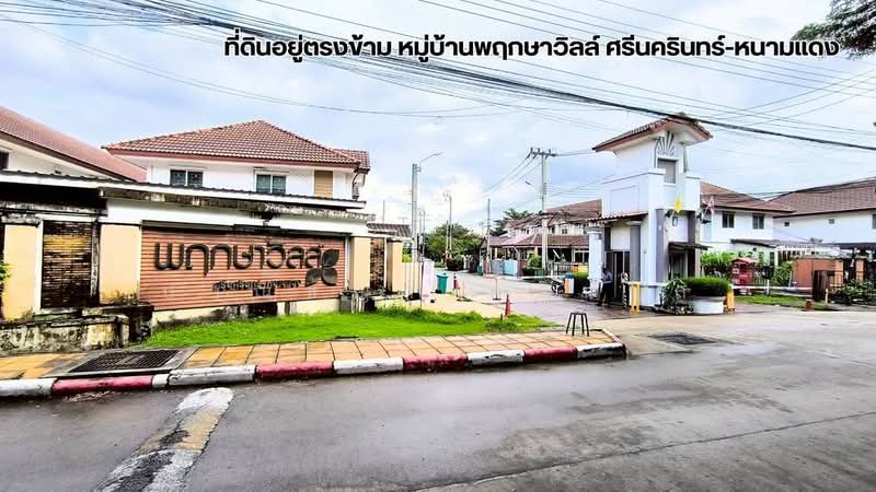 ขายที่ดิน 7-2-08 ไร่ ซอยหนามแดง-บางพลี 13 ติดกับโรงเรียนบางแก้วประชาสรรค์, Samut Prakan, หนามแดง-บางพลี 13, Bang Kaeo, Bang Plee, Samut Prakan, , 12,032 sqm, Land For Sale, by ปาณชญา ศรีนวล, 500438172 - DDproperty.com