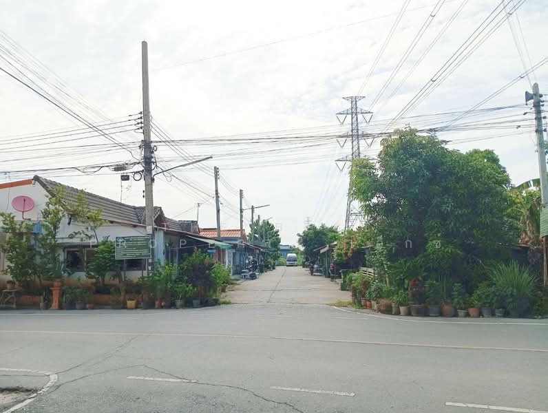 ทาวน์เฮ้าส์สนามจันทร์ นครปฐม, นครปฐม, สนามจันทร์, เมืองนครปฐม, นครปฐม, 150 ตร.ม., ทาวน์เฮ้าส์ ขาย, โดย The Best Property เอ็กซ์, 500438218 - DDproperty.com