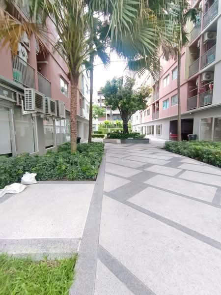 PLUM CONDO PARK รังสิต, ปทุมธานี, ถนนพหลโยธิน, คลองหนึ่ง, คลองหลวง, ปทุมธานี, 22 ตร.ม., คอนโด ให้เช่า, โดย สิริกาญจน์ ฉ.โรจน์ประเสริฐ, 500438240 - DDproperty.com