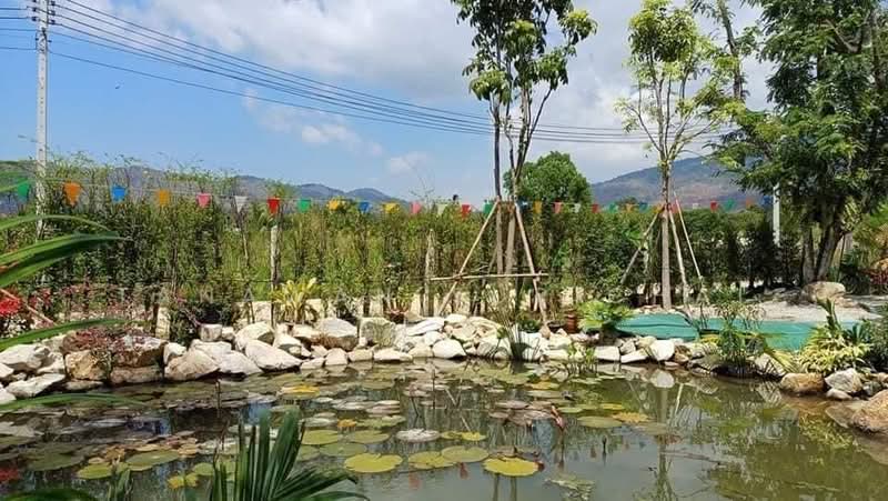 บ้าน 4-ห้องนอน, ชลบุรี, บางพระ, ศรีราชา, ชลบุรี, 368 ตร.ม., บ้านเดี่ยว ให้เช่า, โดย Tanawan Surichai, 500438264 - DDproperty.com