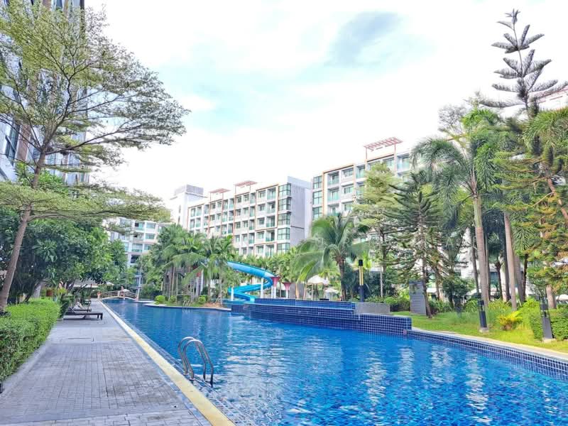 Dusit Grand Park : ดุสิตแกรนด์พาร์ค, ชลบุรี, 384/206 หมู่ 12 ถนนจอมเทียนสายหนึ่ง, บางละมุง, ชลบุรี, 35 ตร.ม., คอนโด ให้เช่า, โดย Tanawan Surichai, 500438273 - DDproperty.com