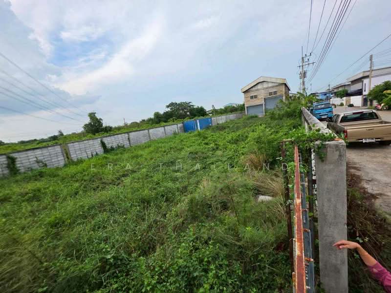 ขายด่วน!!! ที่ดิน + โกดัง + ออฟฟิศ = 1 ไร่ (400 ตรว), ปทุมธานี, หน้าไม้, ลาดหลุมแก้ว, ปทุมธานี, 360 ตร.ม., โกดัง-โรงงาน ขาย, โดย ERA Thailand, 500438358 - DDproperty.com
