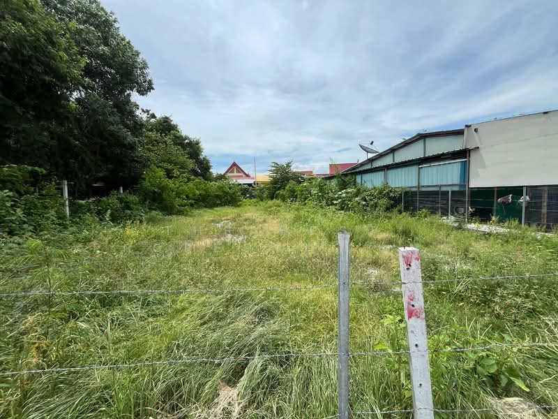 ที่ดินเสม็ด ชลบุรี, Chon Buri (Pattaya), Samed, Muang Chon Buri, Chon Buri (Pattaya), , 412 sqm, Land For Sale, by The Best Property นุ๊ก, 500438393 - DDproperty.com