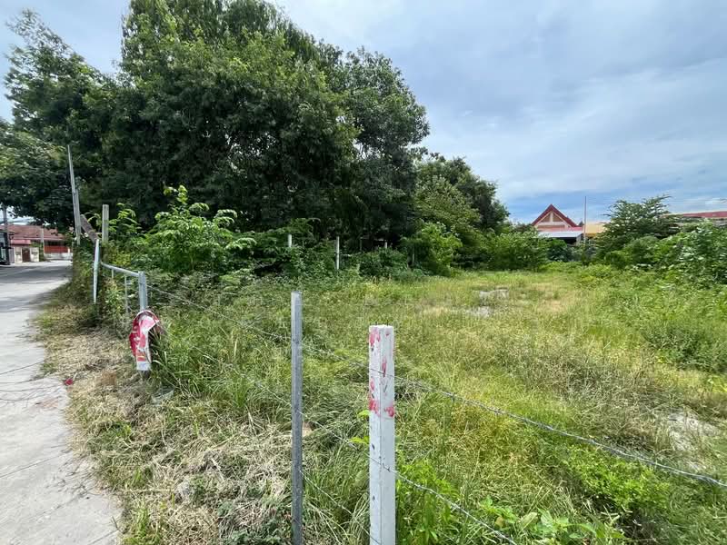 ที่ดินเสม็ด ชลบุรี, Chon Buri (Pattaya), Samed, Muang Chon Buri, Chon Buri (Pattaya), , 412 sqm, Land For Sale, by The Best Property นุ๊ก, 500438393 - DDproperty.com