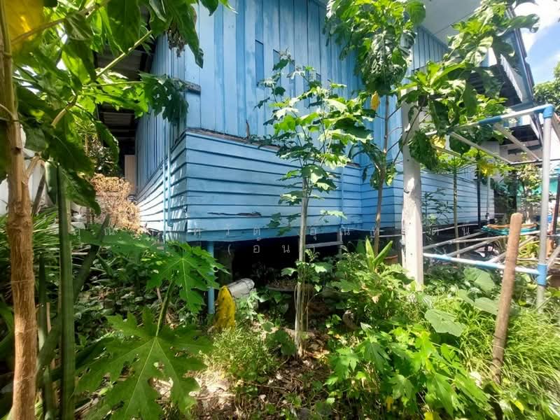 บ้านเดี่ยว 1 ชั้น 46 ตร.ว. บ้านเดี่ยว ซอยมิตรไมตรี27/8, สมุทรปราการ, ถนนสุขุมวิท, บางเมือง, เมืองสมุทรปราการ, สมุทรปราการ, 130 ตร.ม., บ้านเดี่ยว ขาย, โดย คุณ ภควัต อุณหรัตน์ (อ้น), 500438418 - DDproperty.com