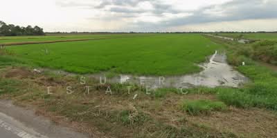 ขาย - ที่ดิน ปทุมธานี, ปทุมธานี