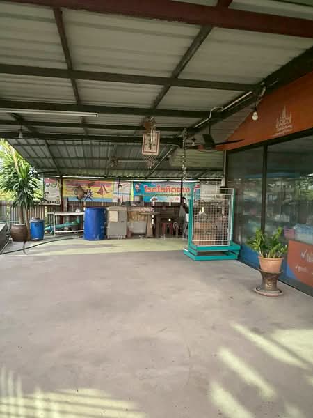 ขายด่วนที่ดินพร้อมสิ่งปลูกสร้าง ตำบลระแหง อำเภอลาดหลุมแก้ว จังหวัดปทุมธานี, ปทุมธานี, ระแหง, ลาดหลุมแก้ว, ปทุมธานี, 400 ตร.ม., ที่ดิน ขาย, โดย ปนัดดา จันทร์สมบัติ, 500438541 - DDproperty.com