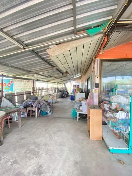 ขายด่วนที่ดินพร้อมสิ่งปลูกสร้าง ตำบลระแหง อำเภอลาดหลุมแก้ว จังหวัดปทุมธานี, Pathum Thani, Ra Haeng, Lat Lum Kaeo, Pathum Thani, , 400 sqm, Land For Sale, by ปนัดดา จันทร์สมบัติ, 500438541 - DDproperty.com