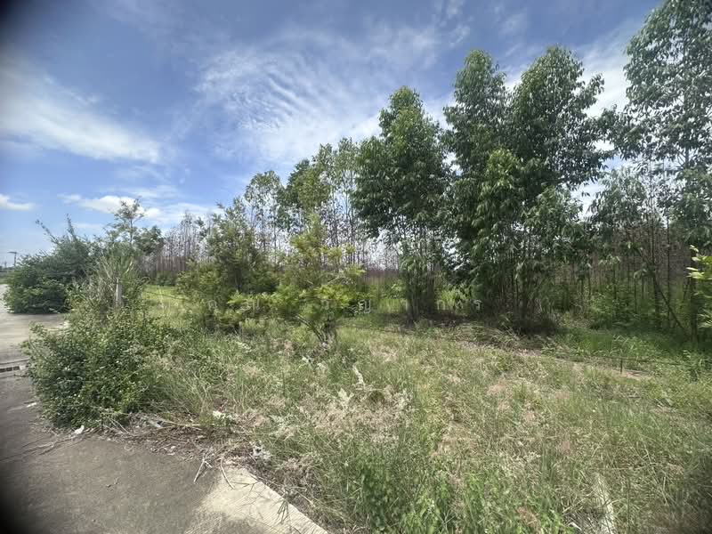 62329, Chon Buri (Pattaya), Bueng, Si Racha, Chon Buri (Pattaya), , 32,588 sqm, Land For Sale, by คุณ วิญากร, 500438569 - DDproperty.com