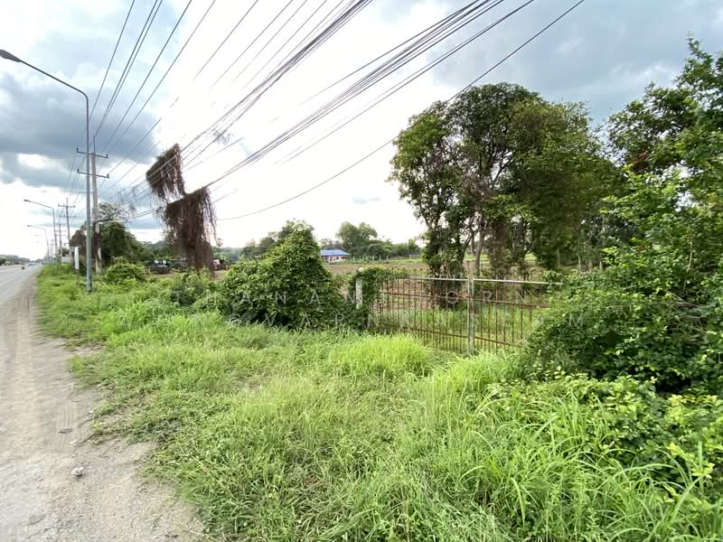สิงห์บุรี, Sing Buri, 3032, Chak Si, Muang Sing Buri, Sing Buri, , 7,264 sqm, Land For Sale, by Thananthorn Wongvarnkaseam, 500438628 - DDproperty.com