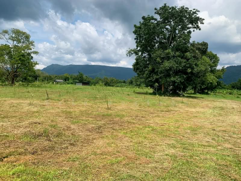 เนินหอม, Prachin Buri, Noen Hom, Muang Prachin Buri, Prachin Buri, , 113,332 sqm, Land For Sale, by อิสรีย์ พันธ์จิรสิน, 500438658 - DDproperty.com