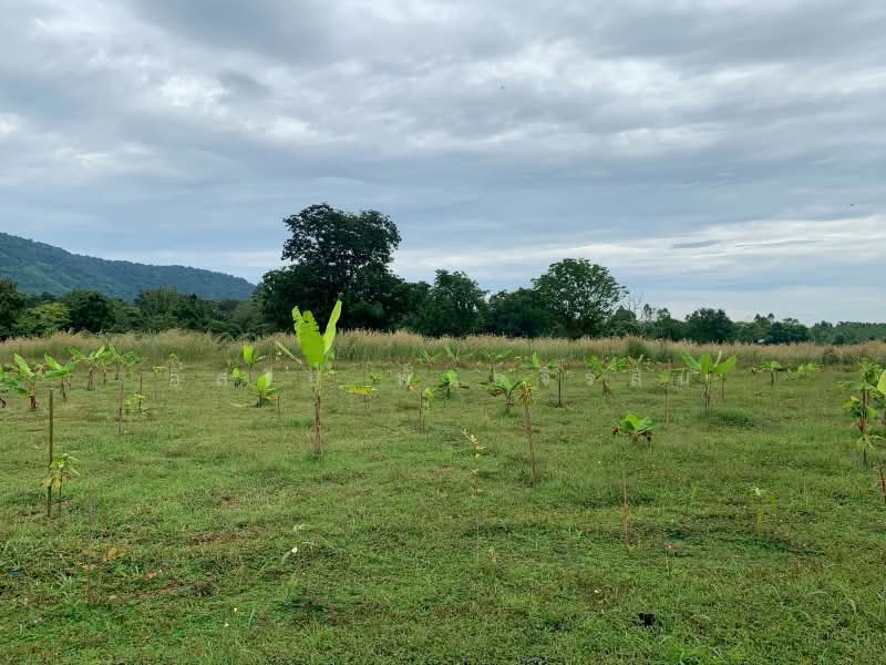 เนินหอม, Prachin Buri, Noen Hom, Muang Prachin Buri, Prachin Buri, , 113,332 sqm, Land For Sale, by อิสรีย์ พันธ์จิรสิน, 500438658 - DDproperty.com