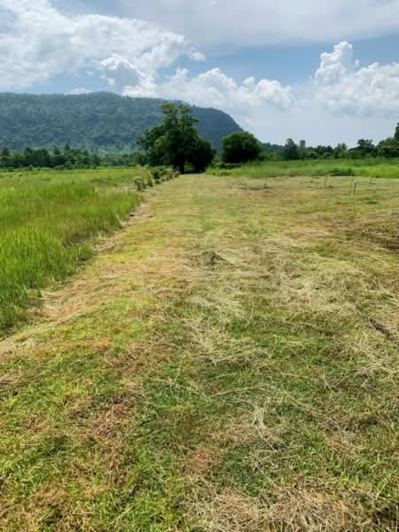 เนินหอม, Prachin Buri, Noen Hom, Muang Prachin Buri, Prachin Buri, , 113,332 sqm, Land For Sale, by อิสรีย์ พันธ์จิรสิน, 500438658 - DDproperty.com