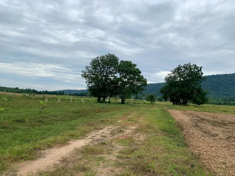 เนินหอม, ปราจีนบุรี, เนินหอม, เมืองปราจีนบุรี, ปราจีนบุรี, 113,332 ตร.ม., ที่ดิน ขาย, โดย อิสรีย์ พันธ์จิรสิน, 500438658 - DDproperty.com