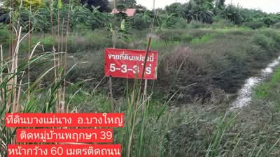 ขาย - ขายที่ดินเปล่า ต.บางแม่นาง อบางใหญ่ จ.นนทบุรี, นนทบุรี