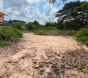 ขาย - ขายที่ดินใจกลางเมืองระยอง ท่าประดู่ 120 ตรว. ซอยพินิจบำรุง ใกล้ถนนเส้นสุขุมวิท3-800เมตร อ.เมืองระยอง, ระยอง