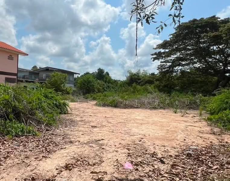 ขายที่ดินใจกลางเมืองระยอง ท่าประดู่ 120 ตรว. ซอยพินิจบำรุง ใกล้ถนนเส้นสุขุมวิท3-800เมตร อ.เมืองระยอง, ระยอง, ท่าประดู่, เมืองระยอง, ระยอง, 480 ตร.ม., ที่ดิน ขาย, โดย RICHWELL INTERPLUS, 500438707 - DDproperty.com