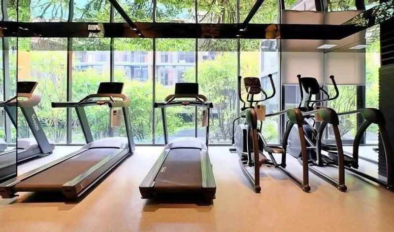 Quintara Treehaus Sukhumvit 42, Bangkok, Soi Bar Bose 2, Sukhumvit 42, Phra Kanong, Khlong Toei, Bangkok, 1 Bedroom, 40 sqm, Condo For Rent, by Ramita Theptham, 500438961 - DDproperty.com