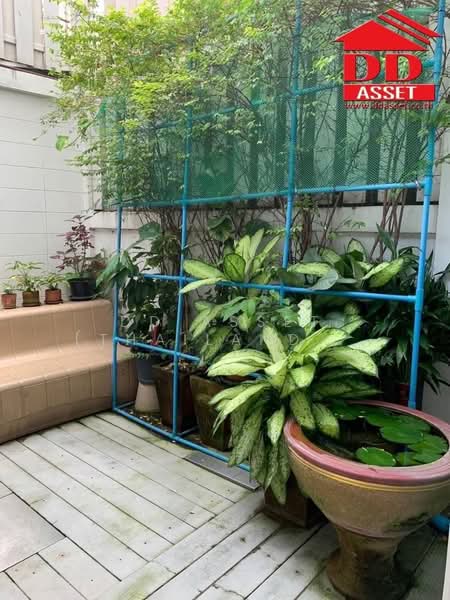 Lumpini Town Home Ratchada-Rama 3 : ลุมพินี ทาวน์โฮม รัชดา-พระราม 3, กรุงเทพ, พระรามที่ 3, คลองเตย, คลองเตย, กรุงเทพ, 96 ตร.ม., ทาวน์เฮ้าส์ ให้เช่า, โดย DD Asset (Thailand) Co.,Ltd, 500439127 - DDproperty.com