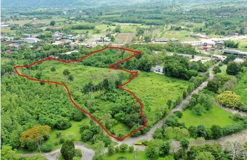 ขายที่ดินเชียงดาว จ.เชียงใหม่ ที่ดินติดถนน รหัส : L8073, Chiang Mai, Chiang Dao, Chiang Mai, , 31,736 sqm, Land For Sale, by DD Asset (Thailand) Co.,Ltd, 500439193 - DDproperty.com