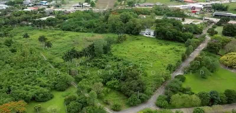 ขายที่ดินเชียงดาว จ.เชียงใหม่ ที่ดินติดถนน รหัส : L8073, Chiang Mai, Chiang Dao, Chiang Mai, , 31,736 sqm, Land For Sale, by DD Asset (Thailand) Co.,Ltd, 500439193 - DDproperty.com