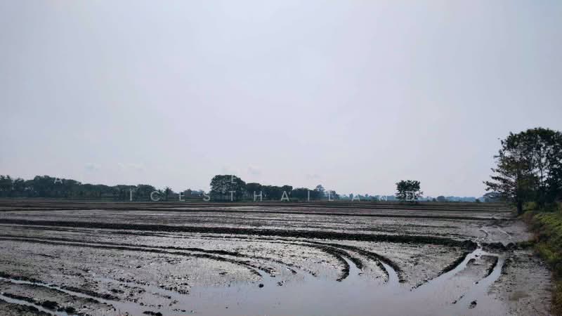 ขายที่ดินทำการเกษตร บ้านสันปู่เลย อำเภอแม่สาย จังหวัดเชียงราย, เชียงราย, โป่งงาม, แม่สาย, เชียงราย, 21,480 ตร.ม., ที่ดิน ขาย, โดย AllianceEstateServicesThailand, 500439205 - DDproperty.com