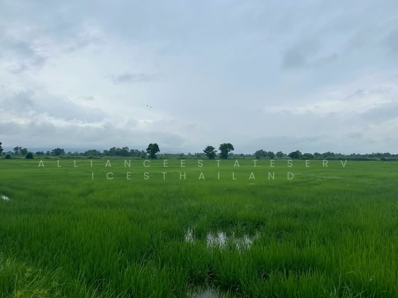ขายที่ดินทำการเกษตร บ้านสันปู่เลย อำเภอแม่สาย จังหวัดเชียงราย, เชียงราย, โป่งงาม, แม่สาย, เชียงราย, 21,480 ตร.ม., ที่ดิน ขาย, โดย AllianceEstateServicesThailand, 500439205 - DDproperty.com