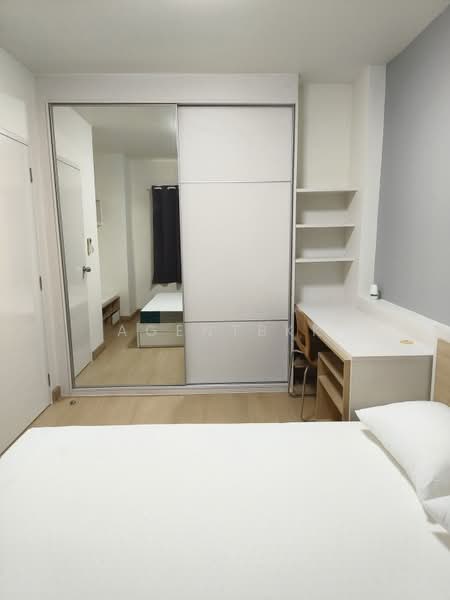 My Condo Sukhumvit 81 : มายคอนโด สุขุมวิท81, กรุงเทพ, ซอยสุขุมวิท 81 ถนนสุขุมวิท, บางจาก, พระโขนง, กรุงเทพ, 35 ตร.ม., คอนโด ให้เช่า, โดย Agentbkk, 500439216 - DDproperty.com