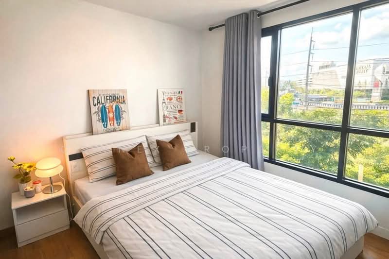 Centrio Condominium, Phuket, Wichit Songkhram, Kathu, Phuket, 1 Bedroom, 31 sqm, Condo For Rent, by Connex Property, 500439356 - DDproperty.com