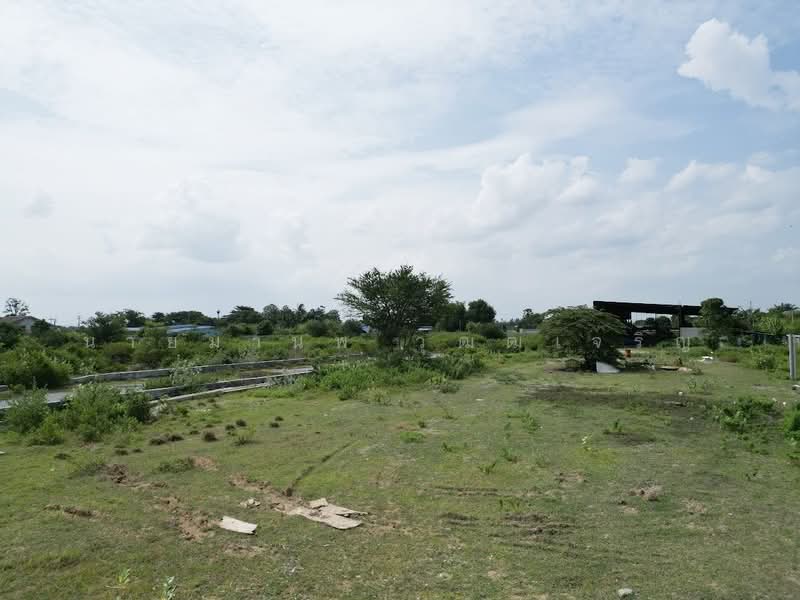 ขายที่ดินทำเลทอง ใกล้ ม.เกษตรศาสตร์ กำแพงแสนตำบลสระสี่มุม อำเภอกำแพงแสน, นครปฐม, สระสี่มุม, กำแพงแสน, นครปฐม, 30,604 ตร.ม., ที่ดิน ขาย, โดย นายมานพ วุฒฒเจริญ, 500439452 - DDproperty.com