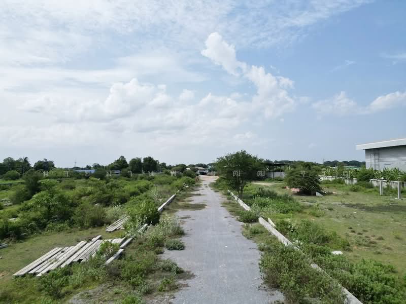 ขายที่ดินทำเลทอง ใกล้ ม.เกษตรศาสตร์ กำแพงแสนตำบลสระสี่มุม อำเภอกำแพงแสน, Nakhon Pathom, Sra Si Mum, Kamphaeng Saen, Nakhon Pathom, , 30,604 sqm, Land For Sale, by นายมานพ วุฒฒเจริญ, 500439452 - DDproperty.com