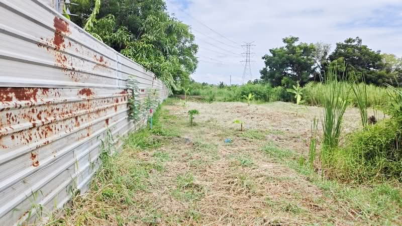 ที่ดินบางบัวทอง นนทบุรี, Nonthaburi, Bang Bua Thong, Nonthaburi, , 3,204 sqm, Land For Sale, by The Best Property นุช, 500439559 - DDproperty.com